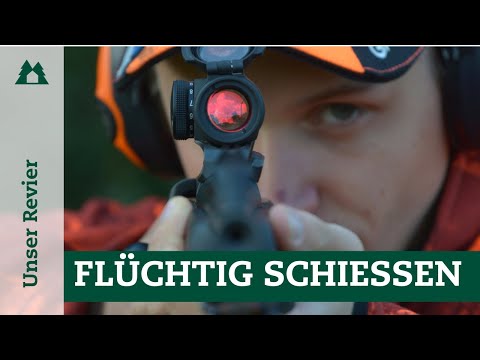 Learn to shoot more accurately: How to improve your accuracy on driven hunts | 8 training tips fo...