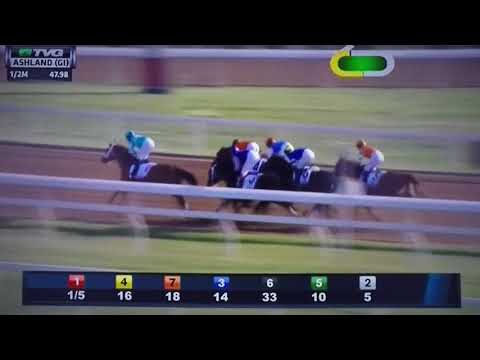 ASHLAND (G 1) STAKES 4/7/18 - MONOMOY GIRL !!