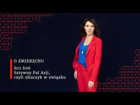 O Zmierzchy S02E06 - Sztywny Pal Azji, czyli ołtarzyk w związku