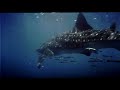Atlantis Trailer Luc Besson 1991 35mm Film Print