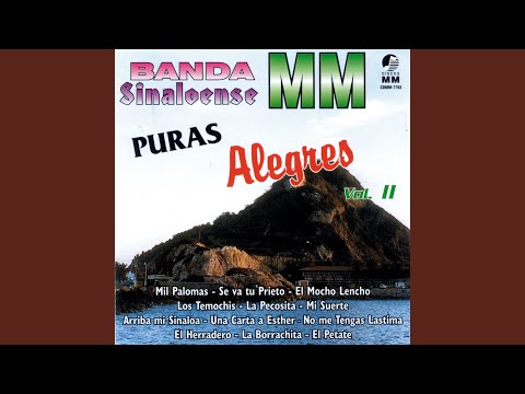 No Me Tengas Lastima