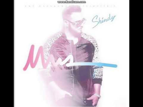 Shindy Feat. Bushido und Sido Immer Immer Mehr ( High Speed )