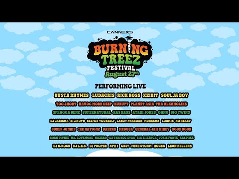 Mike Storm - Burning Treez Festival Wrap Up