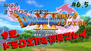【ドラクエ11】#6.5 ライヴ実況 ～的探し＆サブクエ消化回～