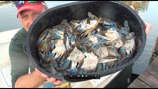 killing and cleaning live crabs. humanely!!!