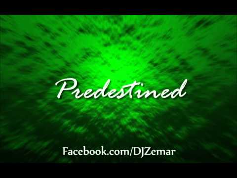 DJ Zemar - Predestined