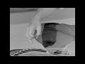Japanese Court Music And Dance Koto 箏 Demonstration