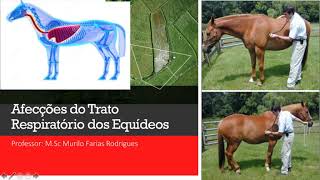 AULA 05 - AFECÇÕES DO TRATO RESPIRATÓRIO DE EQUÍDEOS