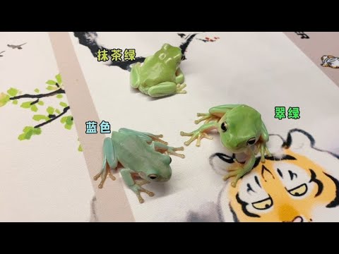 大樹蛙