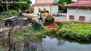 New Project!!! Fill the pond with soil Using Dump TRUCK 5Ton with BULLDOZER D21P Pushing Soil