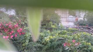 Takvimlerden Haberin Yok mu? - Eyüp Ercan Sezer (Gülay) - Yorum: Ogün Meral