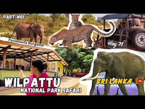 Day 01 | Wilpattu National Park විල්පත්තු ජාතික වනෝද්‍යානය| SriLanakn Leopard | Jeep 4X4 Wild Safari