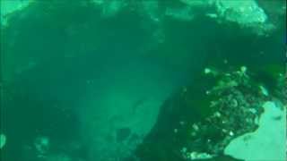 preview picture of video 'De Leon Springs State Park Florida - HD Go Pro Hero Naked - 2012-05-01'