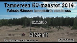 preview picture of video 'Afgaanit Kaanaan maastojuoksukisoissa'