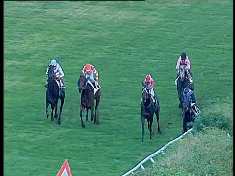 Galoppo 16/11/2019 - 3ª corsa