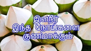 Download lagu இளநீர் இந்த நோய்களை குணமாக்கும் mp3 Download lagu இளநீர் இந்த நோய்களை குணமாக்கும் mp3