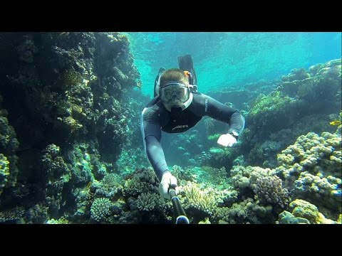 Snorkeling у кораллового рифа отеля Grand Rotana.