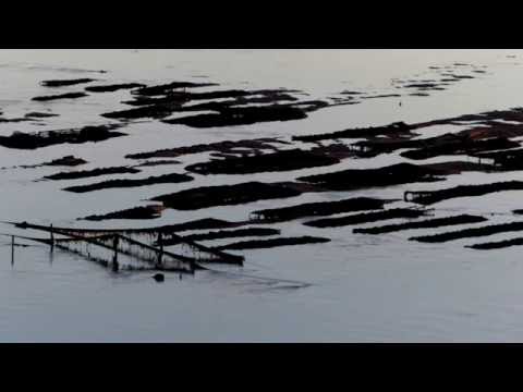 Bach's The Well Tempered Clavier Book 2, nr 16 Prelude ...The past were ever past?