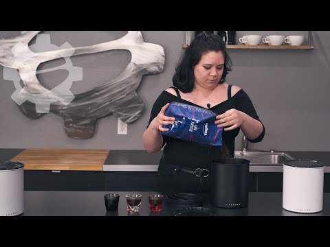 Airscape Kilo Coffee Canister | Crew Review