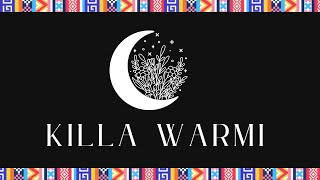WEBINAR DISCO MENSTRUAL - KILLA WARMI