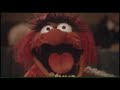 Muppets -- Animal