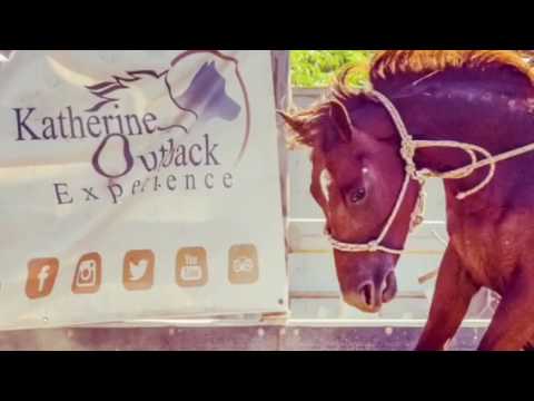 Katherine Outback Experience