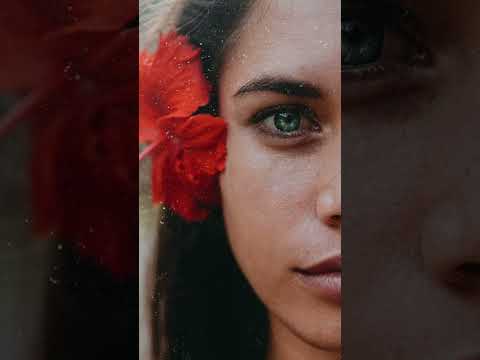 Onaku Ellis X Stay Chill Co.