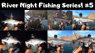 Colorado River/Willow Beach Night Fishing Series #5 PLUS Bonus footage!!