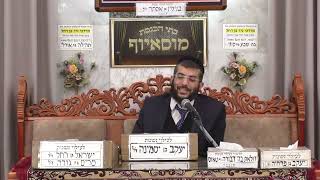 הרב מנחם גיאת | הלכות | מוסאיוף (בית הכנסת מוסאיוף - ערוץ חדש) - התמונה מוצגת ישירות מתוך אתר האינטרנט יוטיוב. זכויות היוצרים בתמונה שייכות ליוצרה. קישור קרדיט למקור התוכן נמצא בתוך דף הסרטון