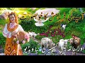 👉 pahari geet pahari song 🌲eid mubarak eid khushi de mooh pardesiya new pahari song jk apna kashmir👈