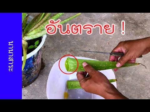 เพิ่มขึ้นยาแรงซึ่งจะดีกว่า ผู้หญิงรู้สึกตื่นเต้นในถุงน่อง