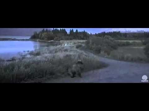 Is this 500 Indy startled by 409 or 410? 9 22 15