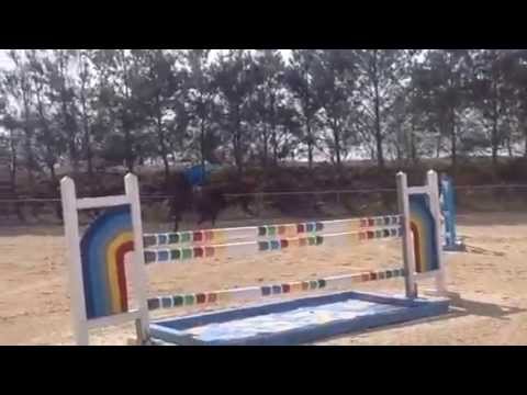 download lagu mp3 mp4 Lox For Sale, download lagu Lox For Sale gratis, unduh video klip Lox For Sale