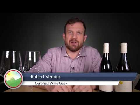 Exploring a Star Micro-Negociant in Burgundy - Episode 7 - Wine Terroir I The Red Wines of Burgundy