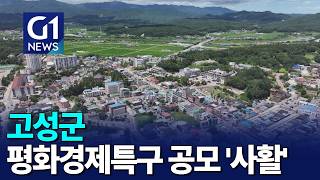 [G1뉴스]고성군, 평화경제특구 공모 '사활'