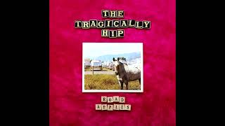 The Tragically Hip - On The Verge [5.1 Surround Sound]