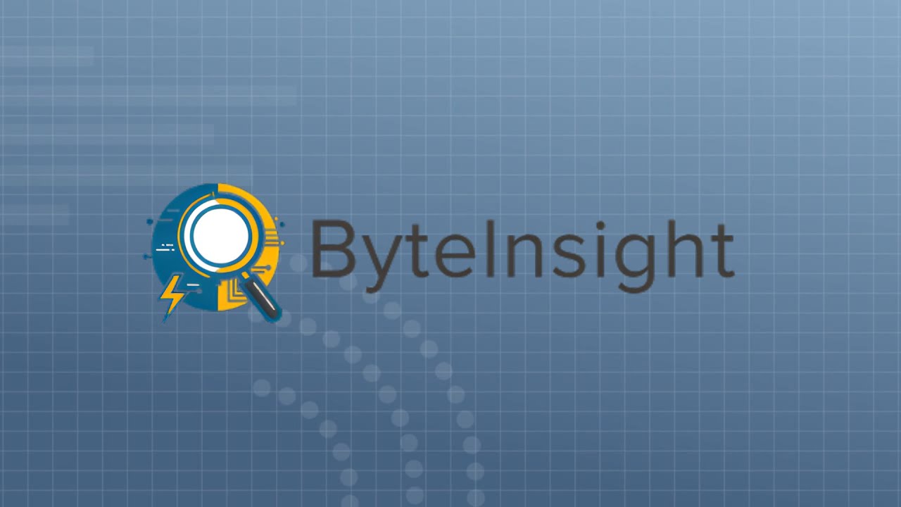 ByteInsight: Know Your Code Before You Modernize