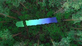 Bridging Nature and Life