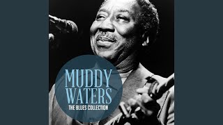 They Call Me Muddy Waters