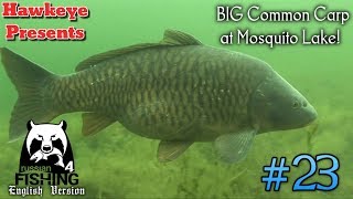 Russian Fishing 4 | #23 - BIG Common Carp at Mosquito Lake!