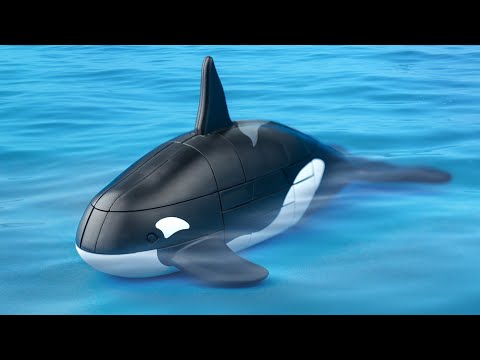 Killer whale interlocking puzzle.