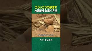 #shorts 砂漠で水滴を生み出す方法(ディスカバリーチャンネル)