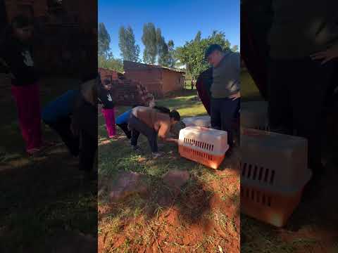 Hoy nuestro equipo volvió hasta la ciudad de Yaguaron  Dpto de Paraguari.