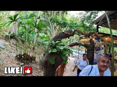 ¿Conocías este Lugar? 😮 Termales Públicos de Rivera, Huila