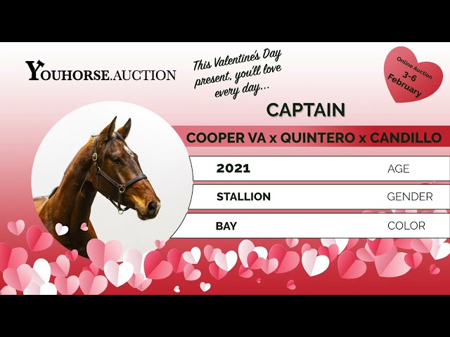 Captain