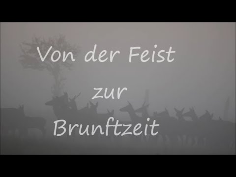 Von der Feist zur Brunftzeit