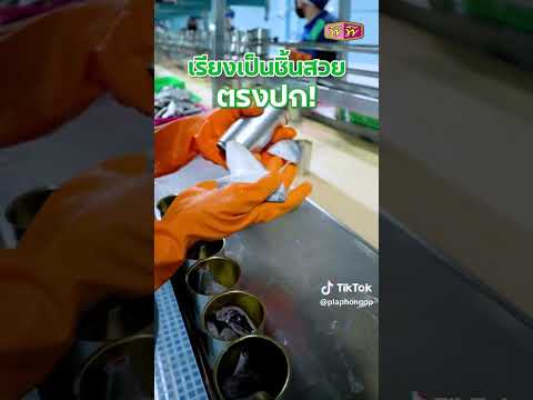 ปลาแมคเคอเรลชิ้นโต เนื้อแน่น
