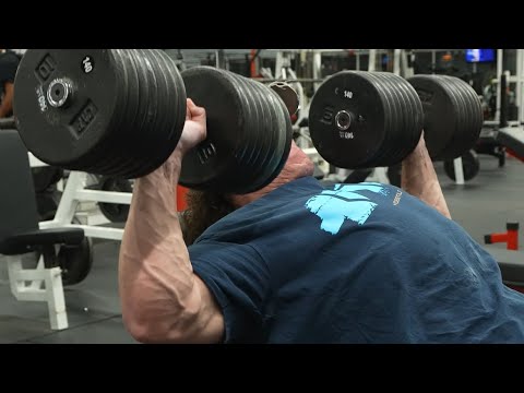 Fall Cut Day 10 -  Chest 235.8 Lbs