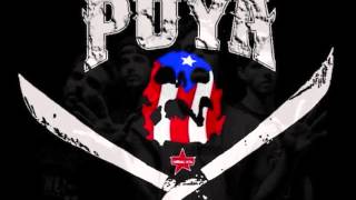 Puya - Contamination