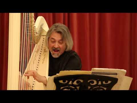 Cagatay Akyol  C. Salzedo "Chanson Dans La Nuit